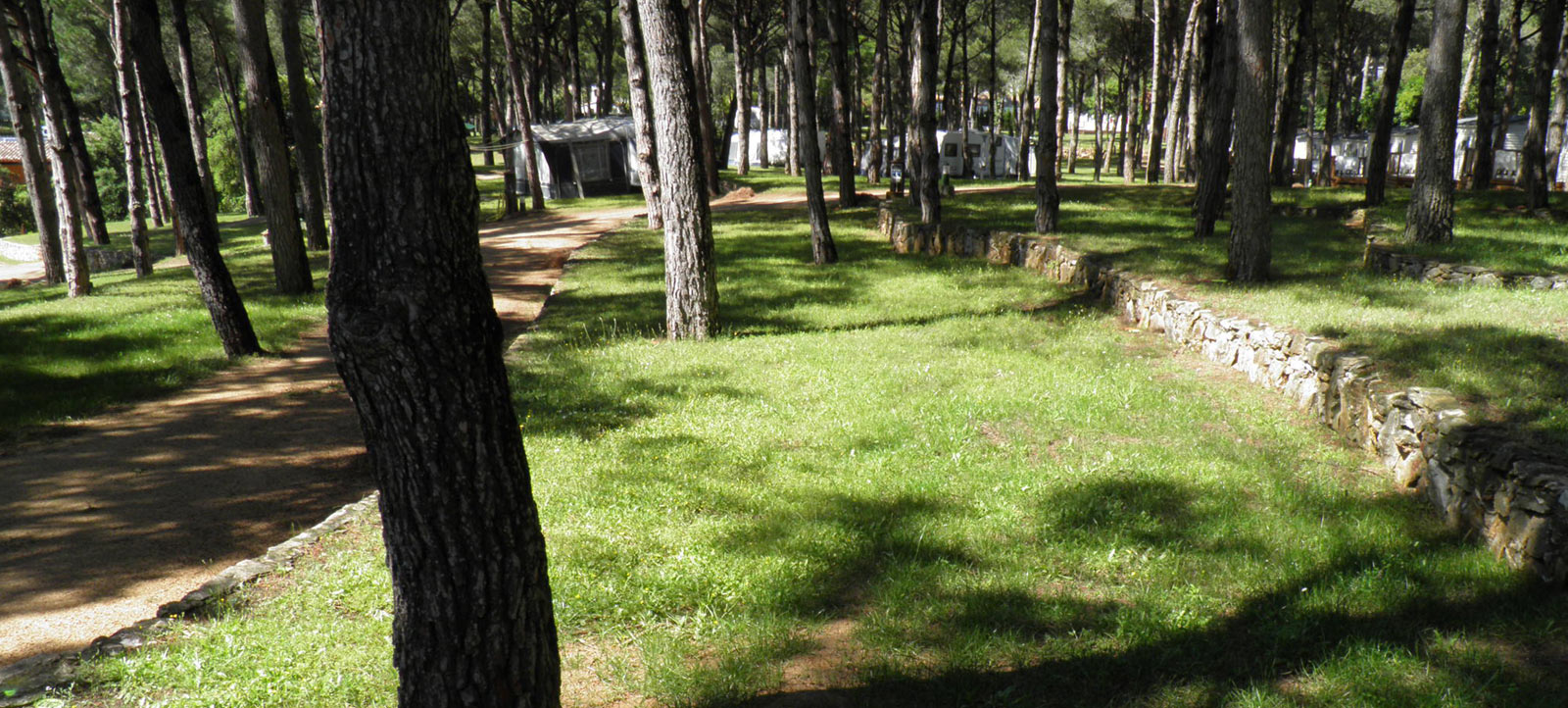 Vista de parcelas del Camping Begur
