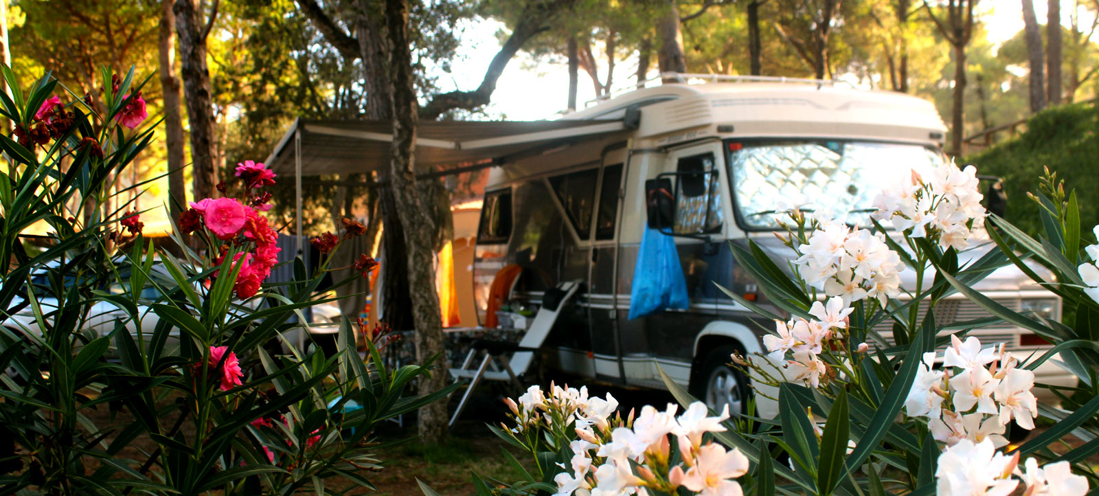 Parcel·la Càmping Begur detall natura amb autocaravana