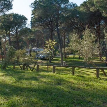 tipos de alojamiento camping