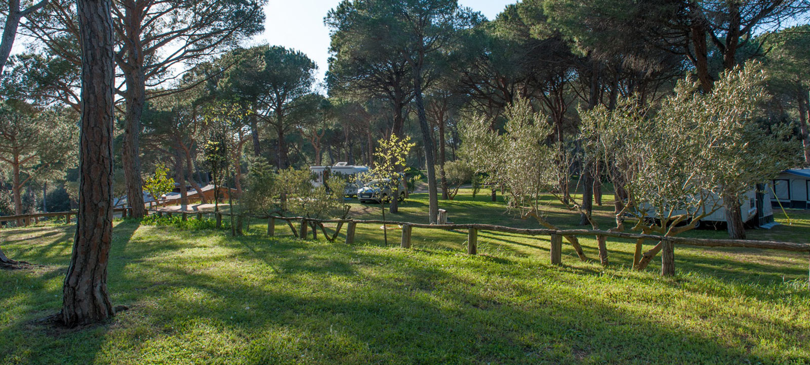 Parcel·la Càmping Begur amb natura buida