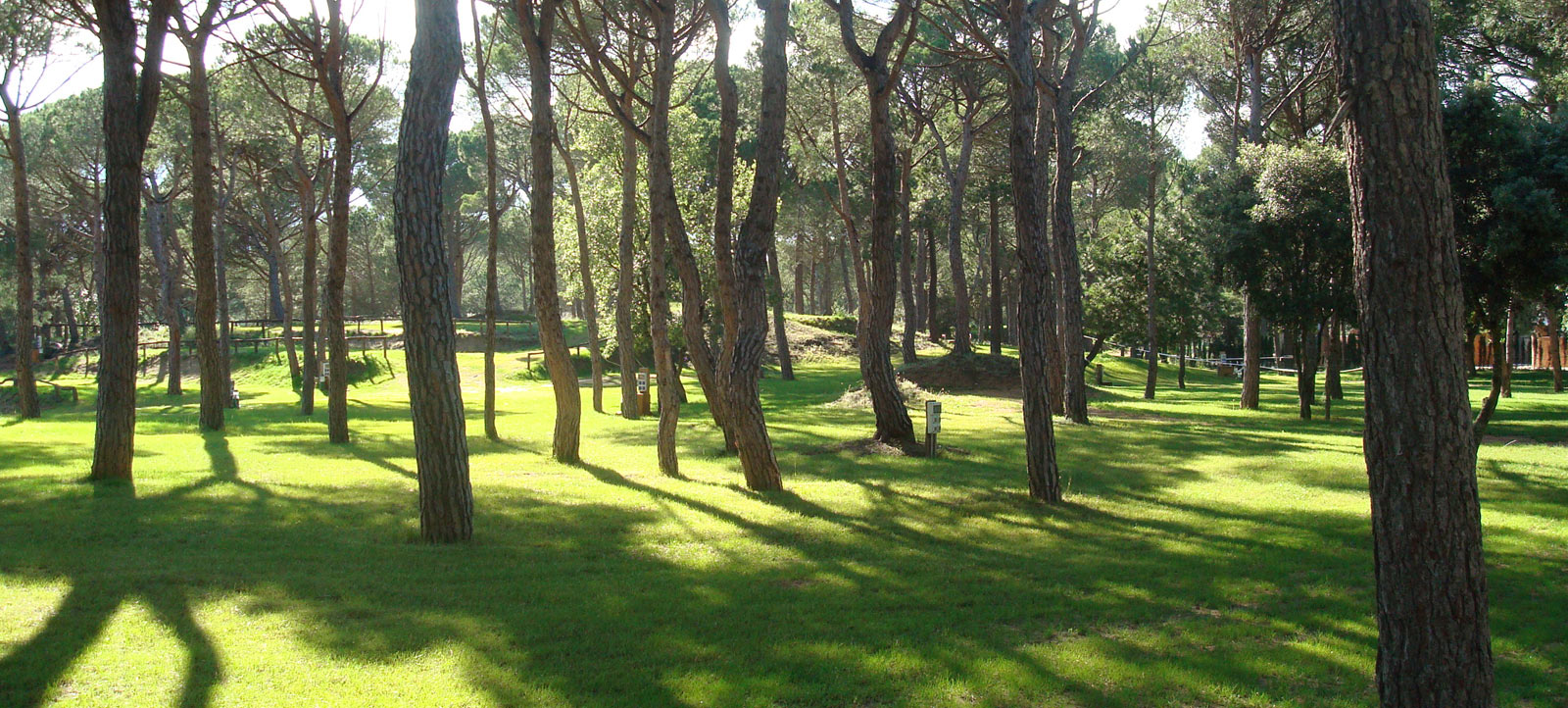 Parcel·les del Càmping Begur buides