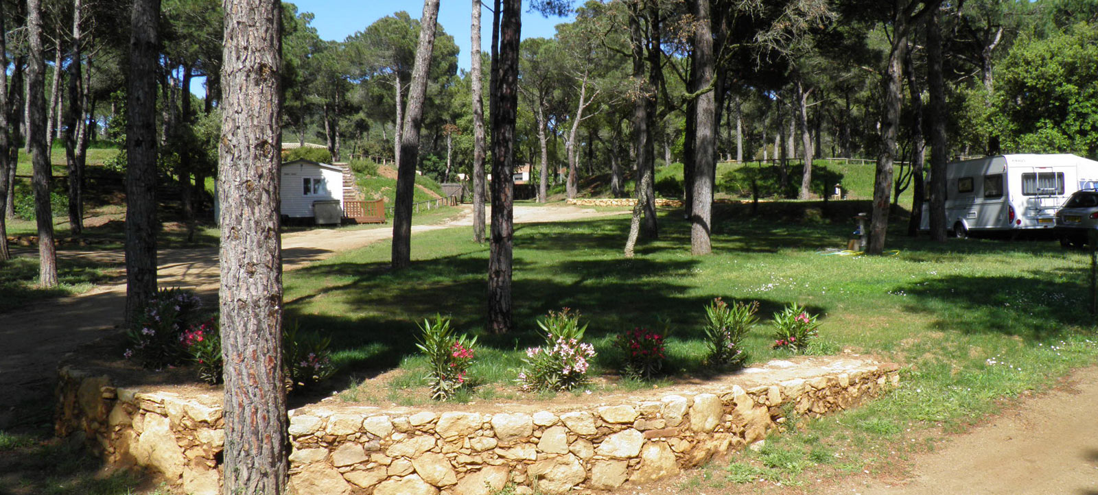 Parcel·la Càmping Begur buida natura